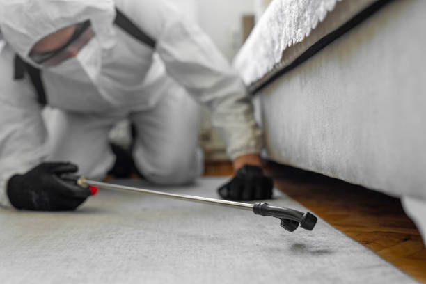 Professional Termite Control technician working in Marlow, OK