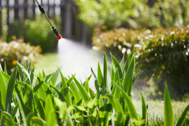 24/7 Emergency Termite Control experts in Marlow, OK