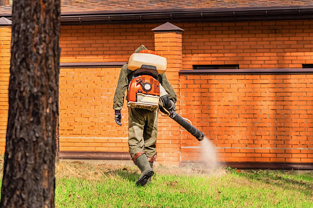 Trusted Bed Bug Control service in Marlow, OK - Nex Pest Control
